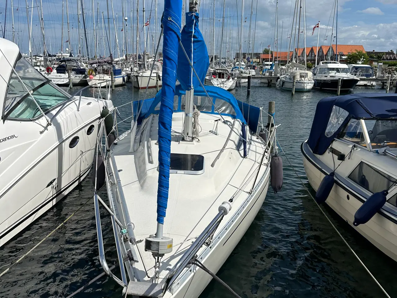 Billede 1 - Mamba 29