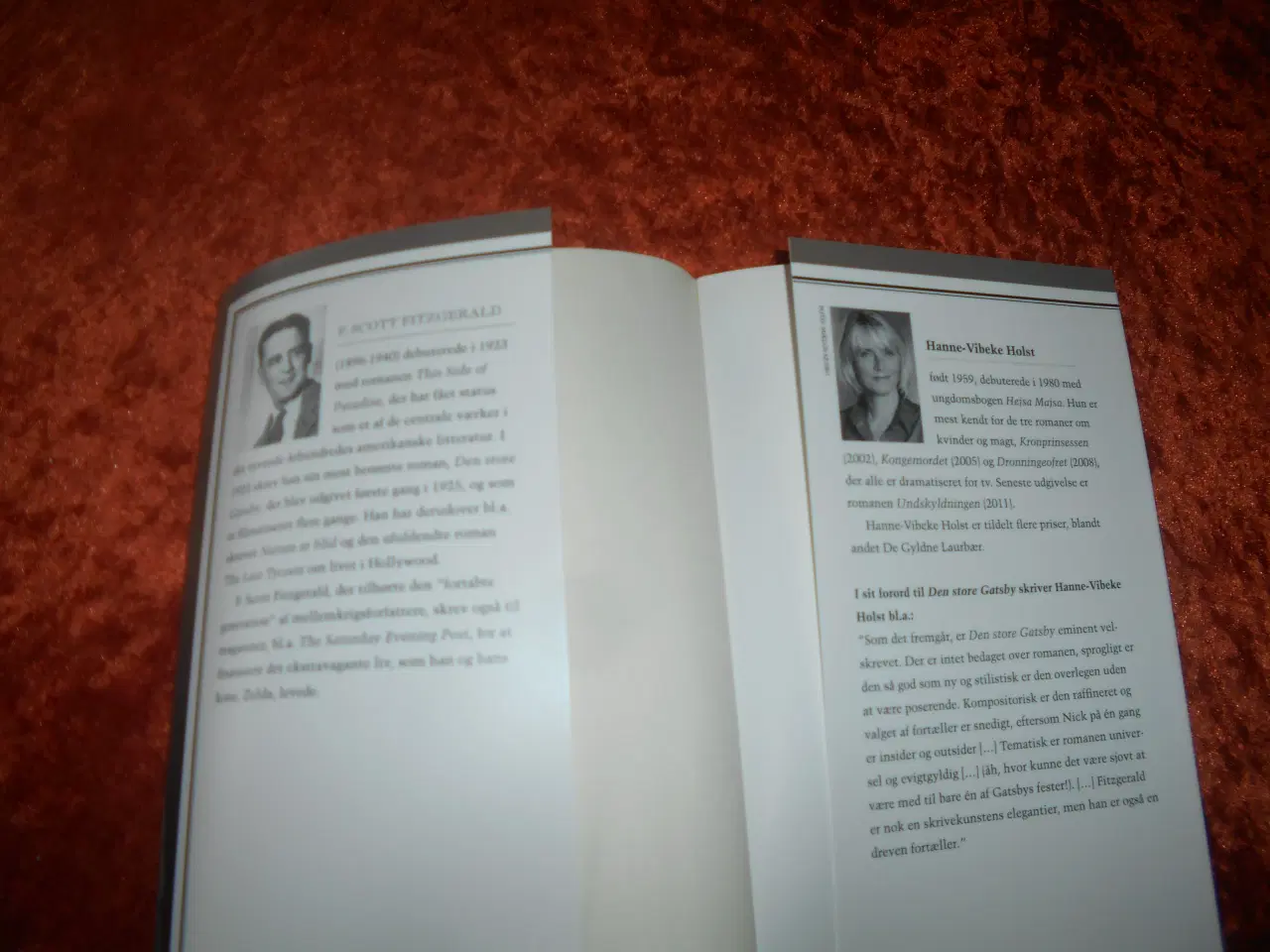 Billede 2 - Den store Gatsby, F. Scott Fitzgerald