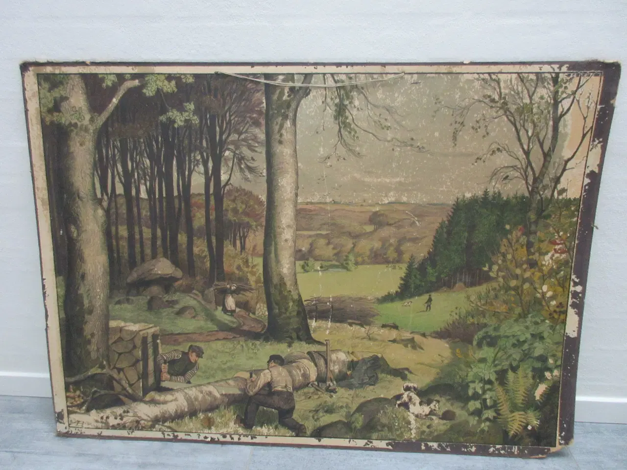 Billede 2 - Skoleplanche med motiv på begge sider