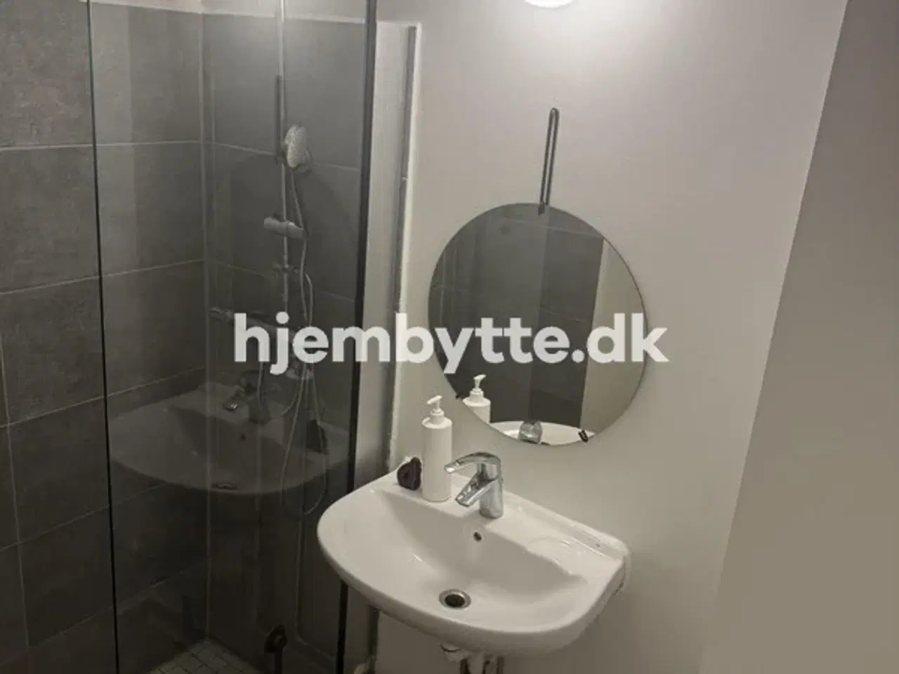 Billede 2 - Hjembytte - Buskager