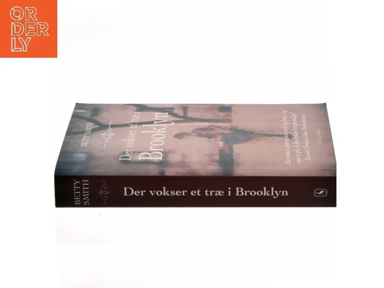 Billede 2 - Der vokser et træ i Brooklyn : roman (Ved Anders Juul Michelsen) af Betty Smith (Bog)