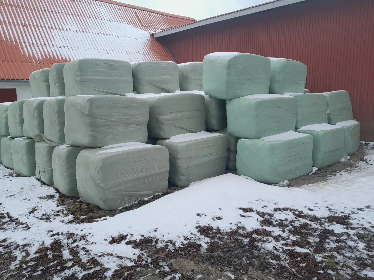 Billede 1 - Wraphø sælges på Østfyn