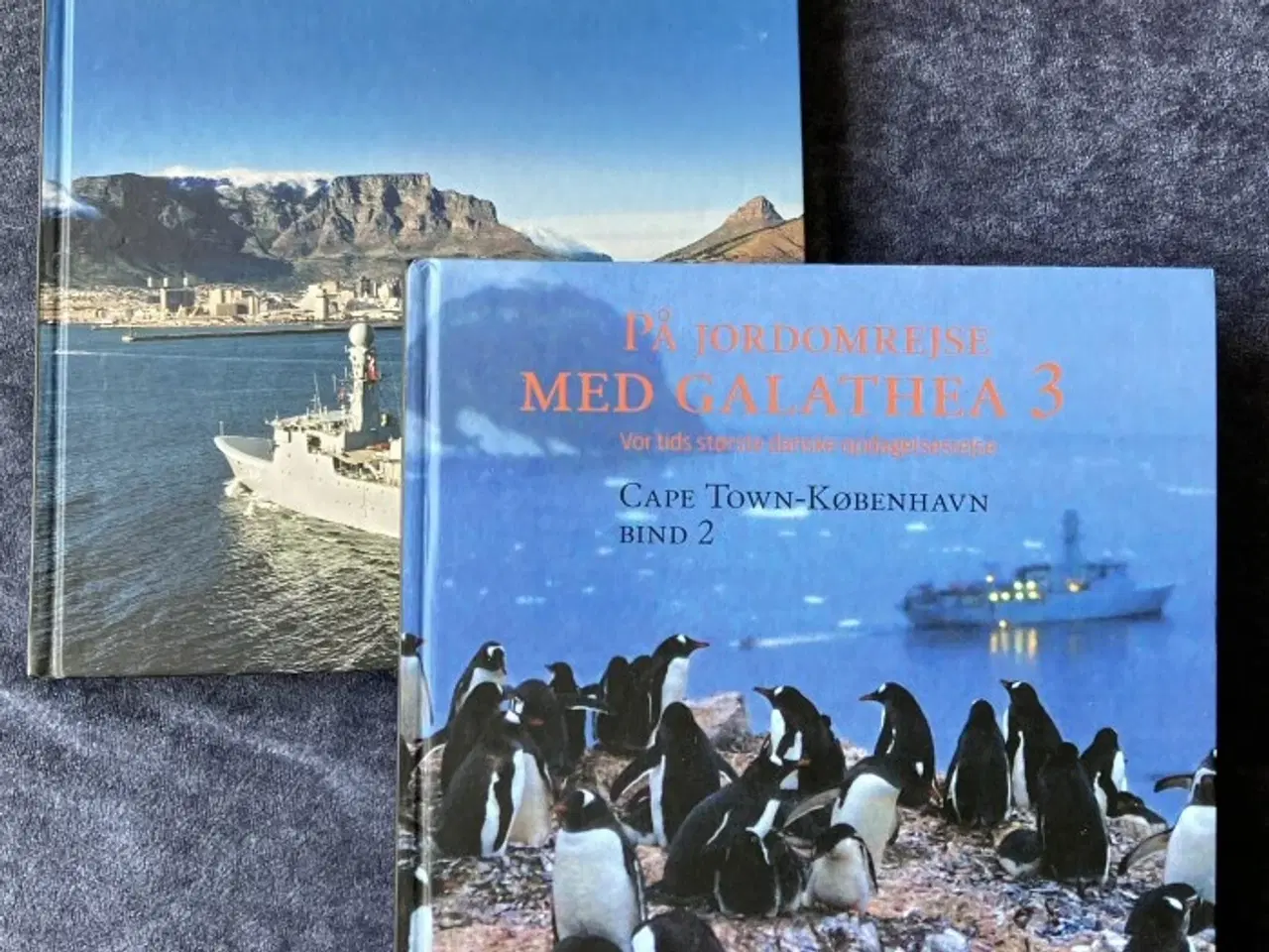 Billede 3 - Bøger om historie - se pris på hver