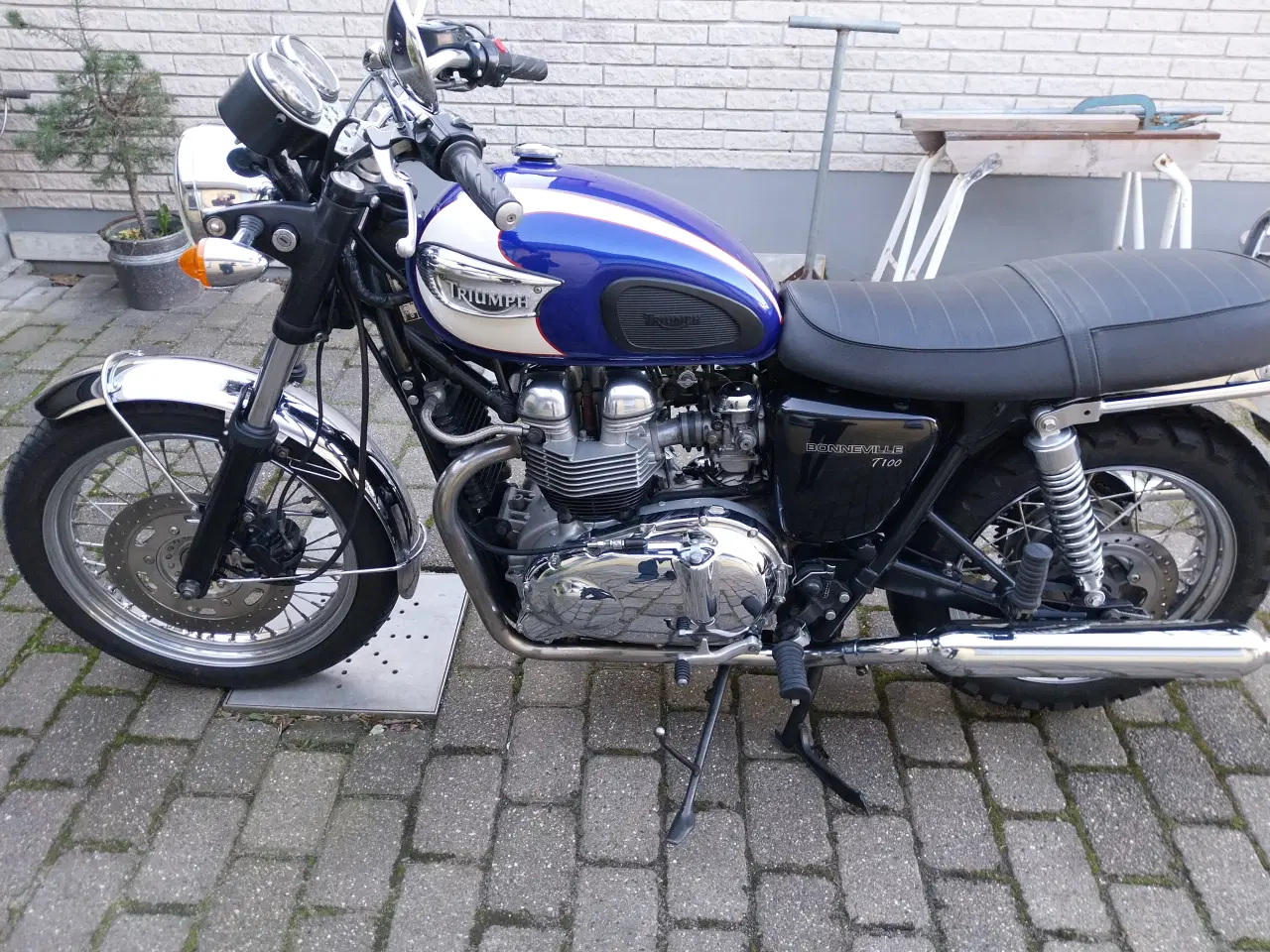 Billede 11 - triumph bonneville t100