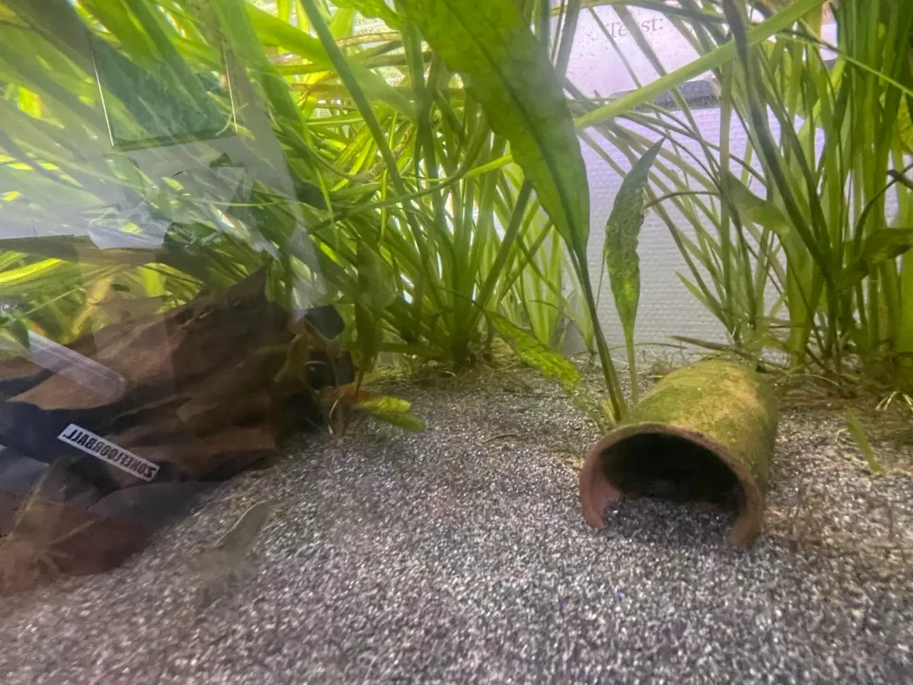 Billede 3 - Akvarie 120 l komplet