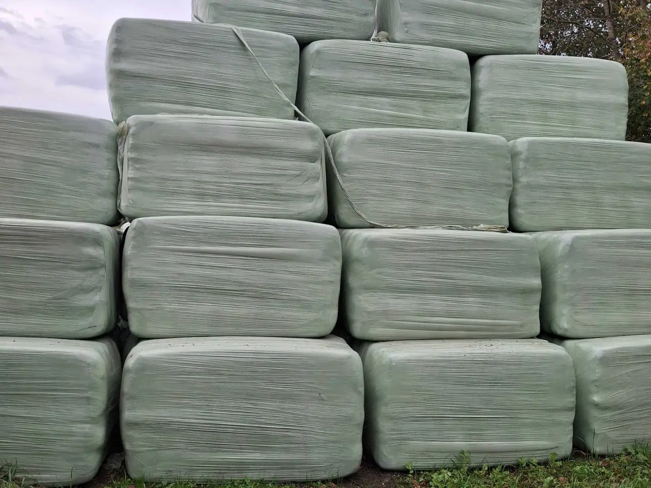 Billede 2 - Tørt wrap. Kløver og alm. Græs