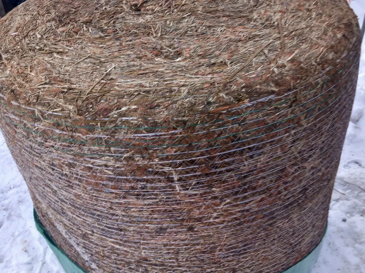 Billede 1 - Wrap. Økologisk rødkløver. 