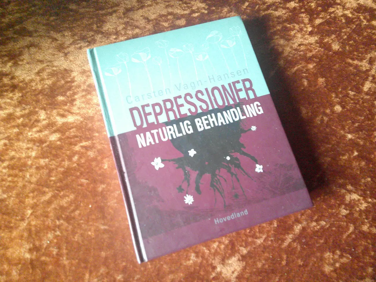 Billede 1 - Depressioner, naturlig behandling, Carsten Vagn-Ha