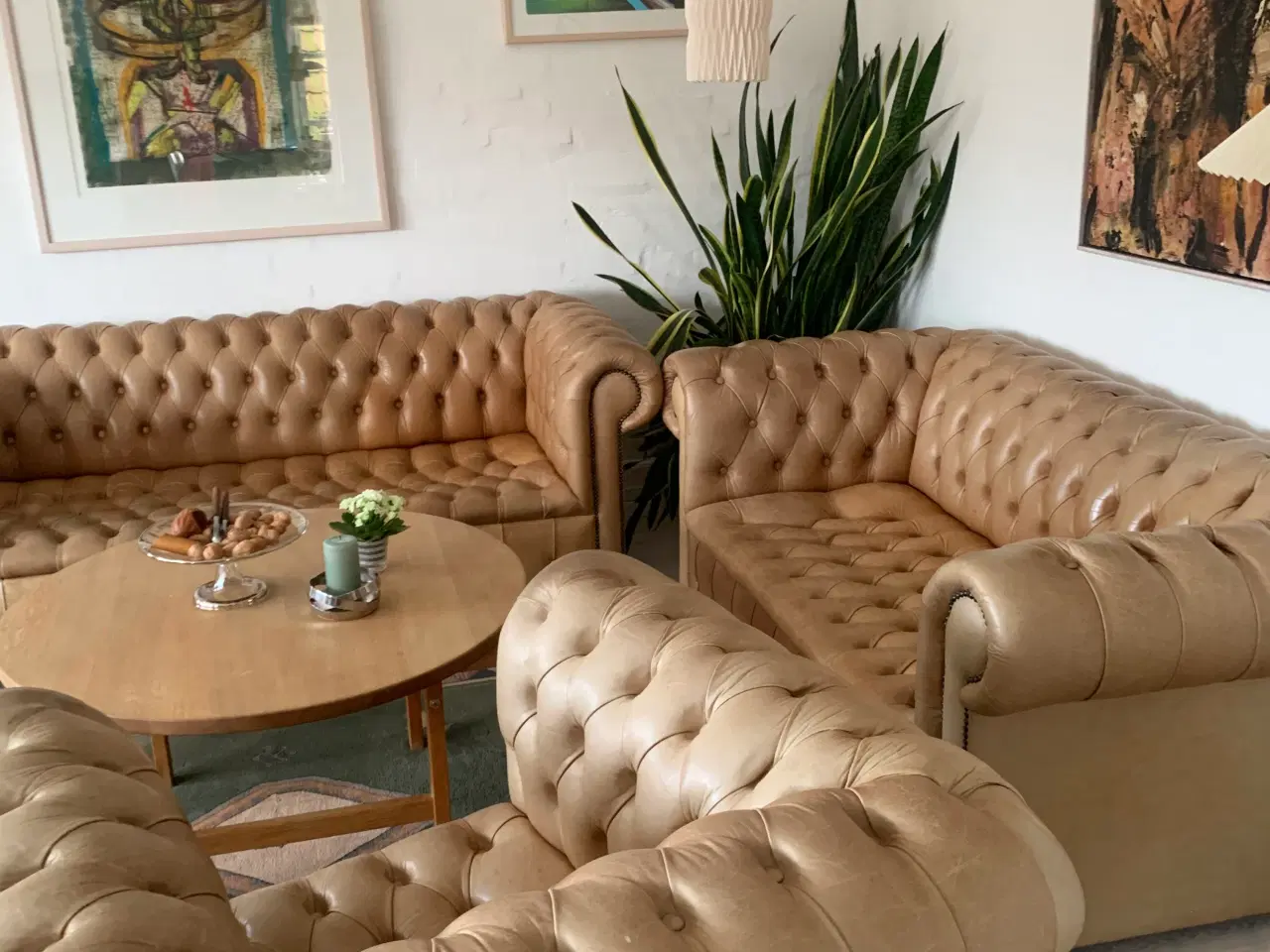 Billede 5 - Chesterfield sofagruppe 