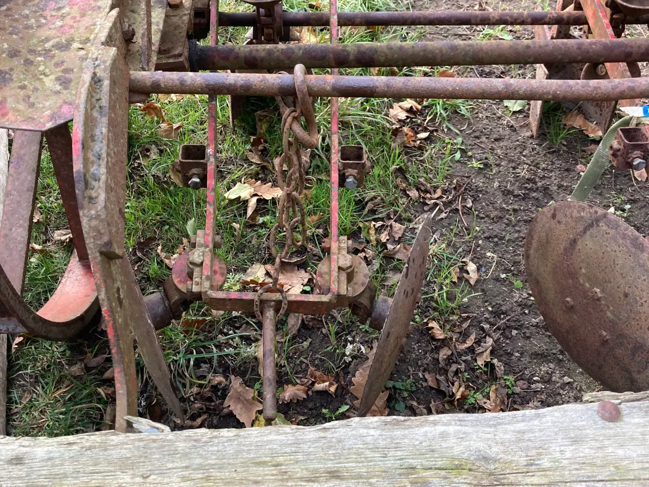 Billede 4 - Kartoffellægger