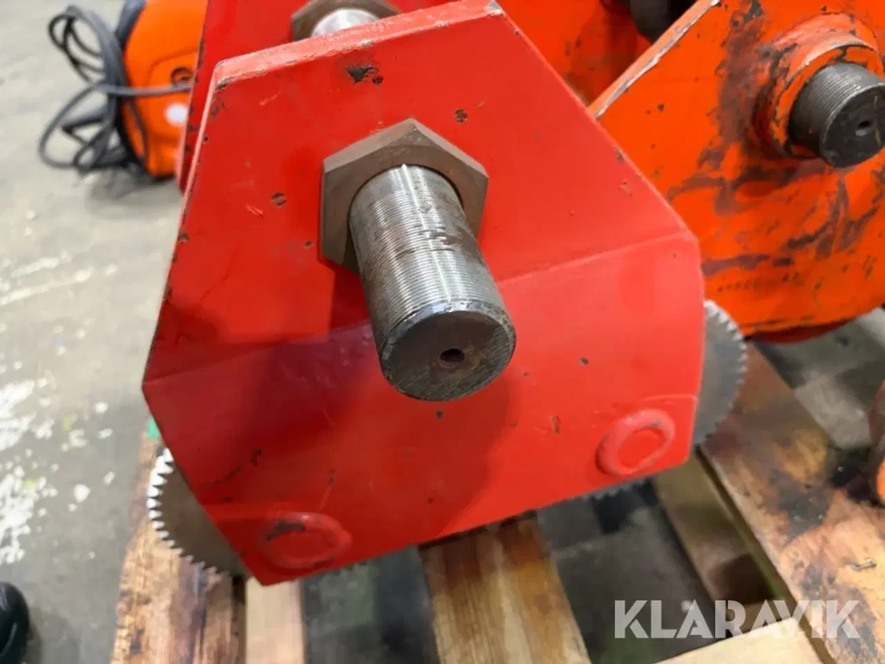 Billede 7 - Løbe katte 3 styk.