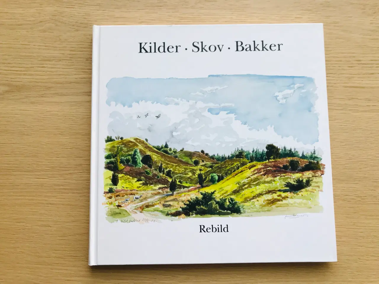 Billede 1 - Kilder - Skov - Bakker  -  Rebild