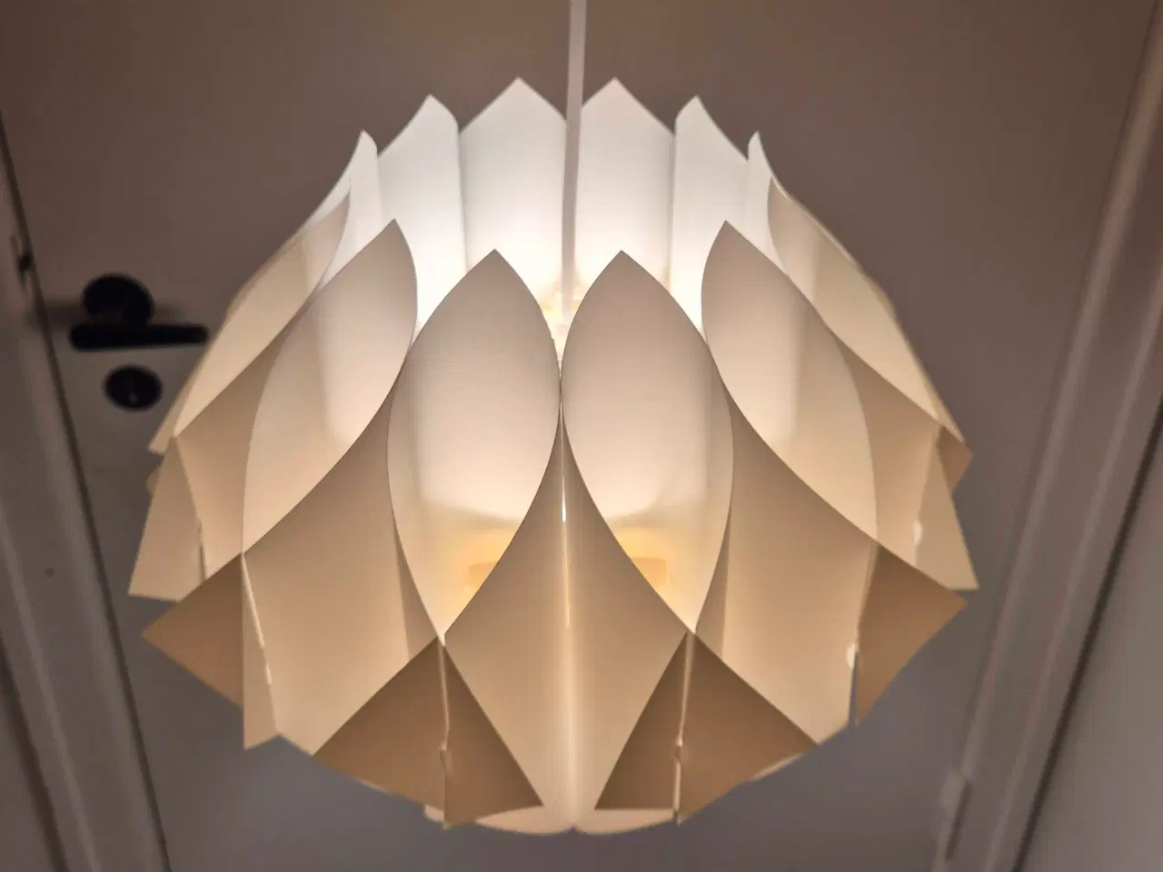 Billede 4 - Velholdte og smukke hvide Butterfly 