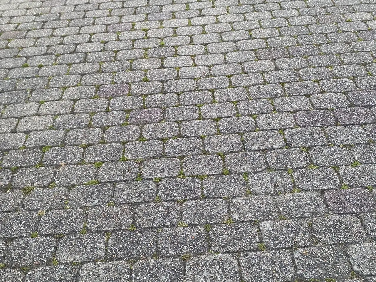 Billede 1 - Holmegårdssten, str. 21x14x5 1/2 cm 