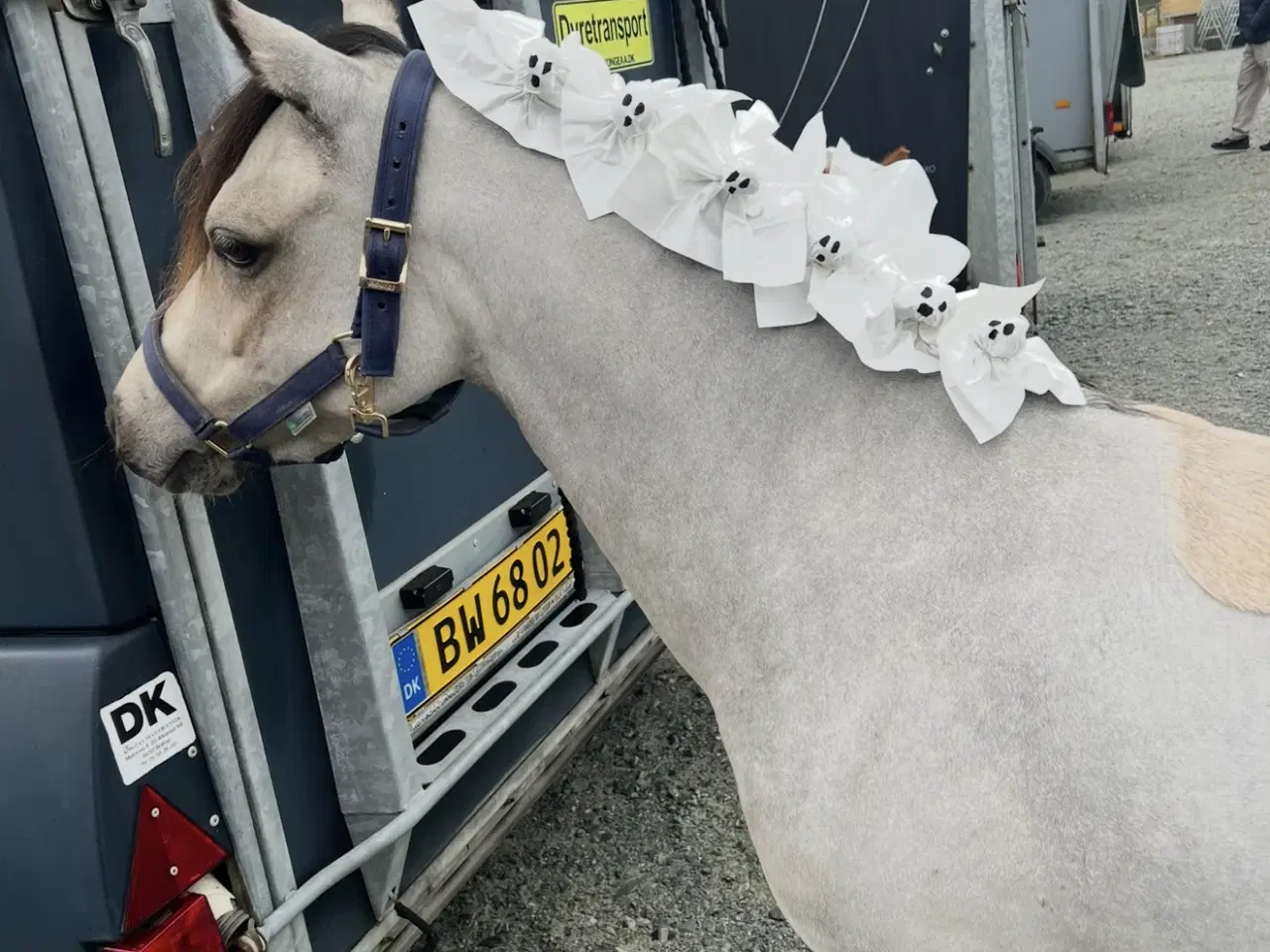 Billede 4 - Sødeste 3 pony