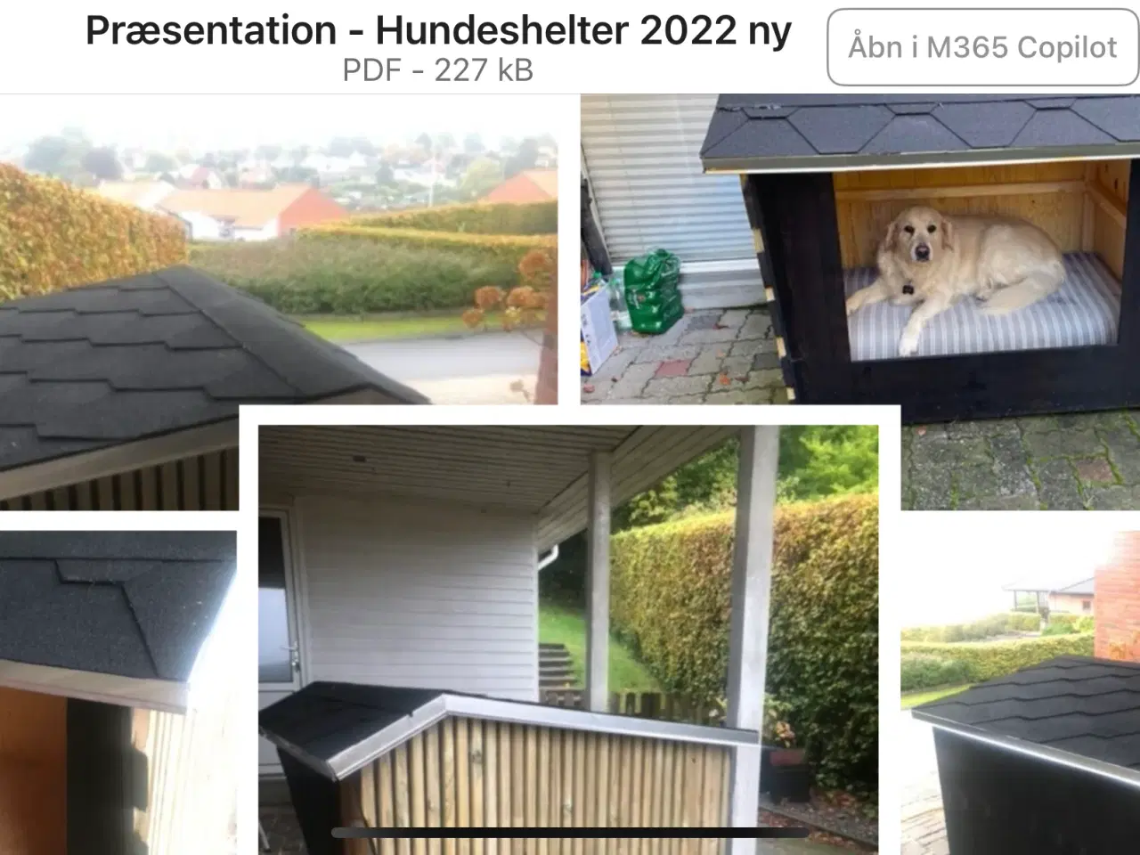 Billede 2 - Hundehus som shelter