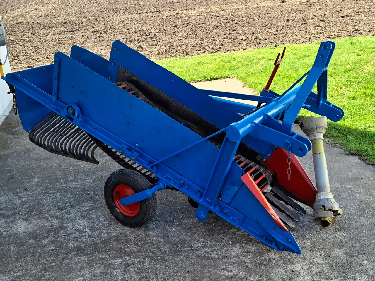 Billede 1 - Kartoffel sideudlægger