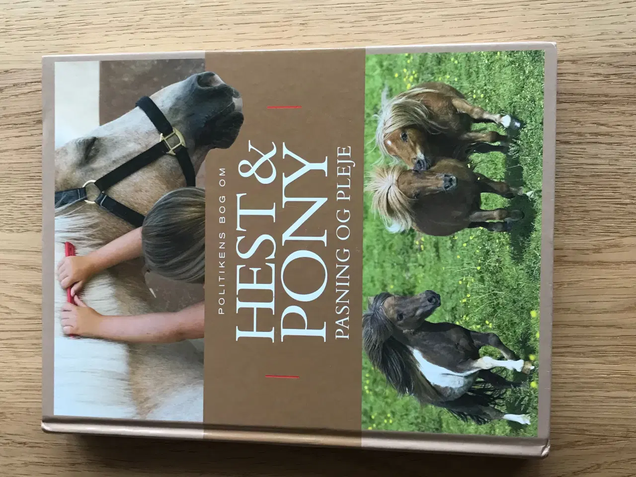 Billede 2 - Politikens bog om Hest & Pony - pasning og pleje