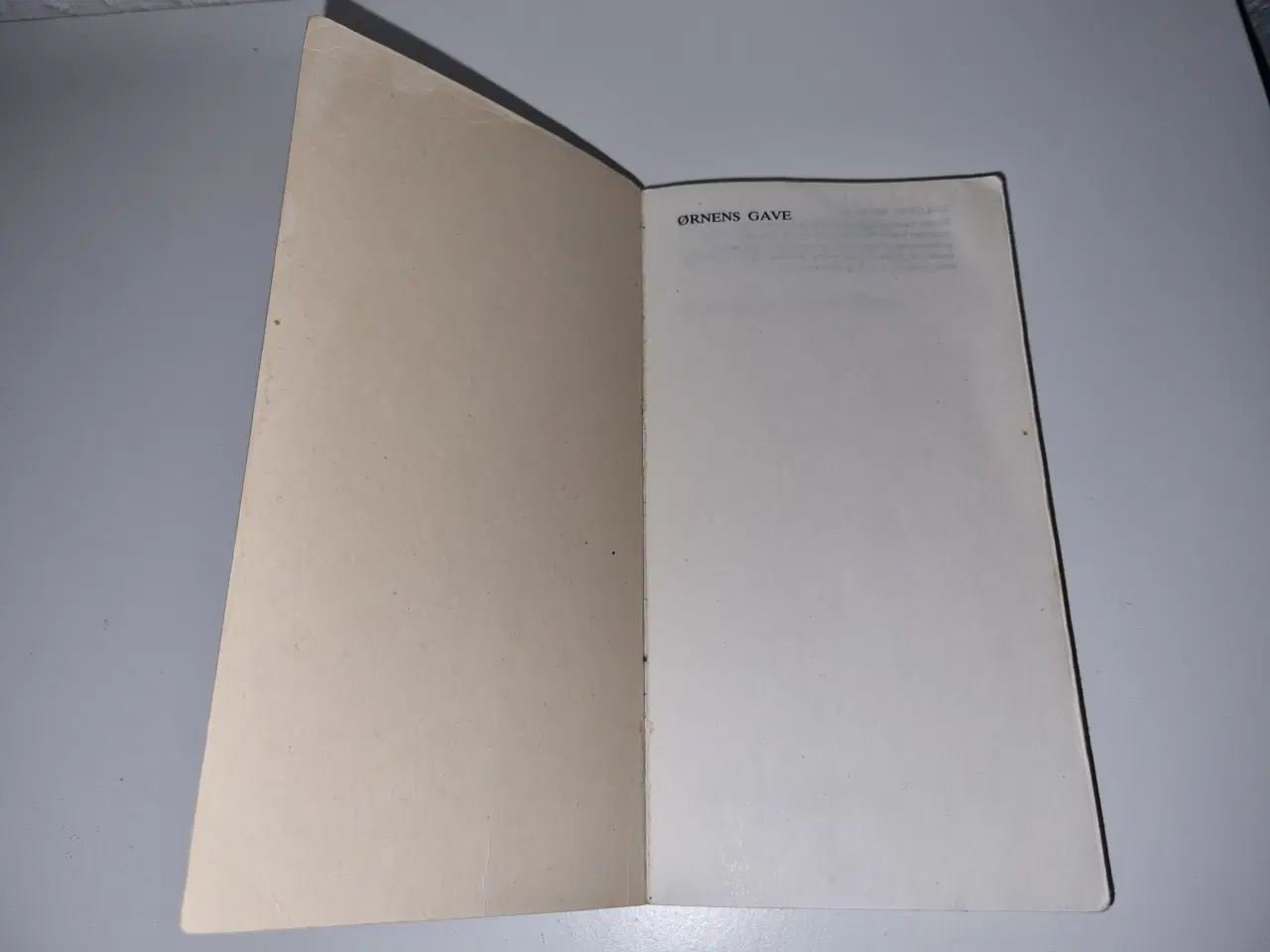 Billede 5 - Carlos Castaneda - Ørnens gave