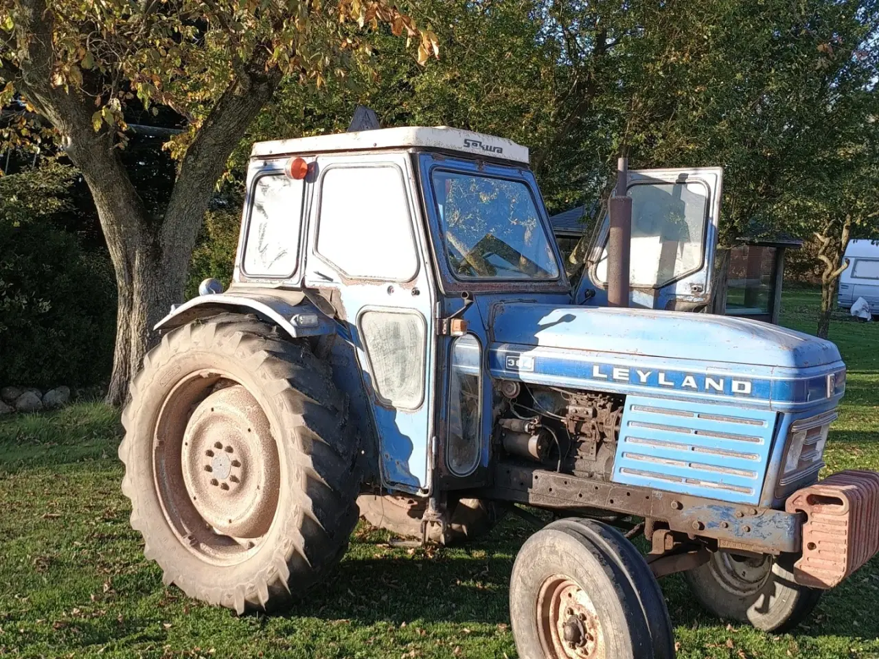 Billede 6 - Leyland 384