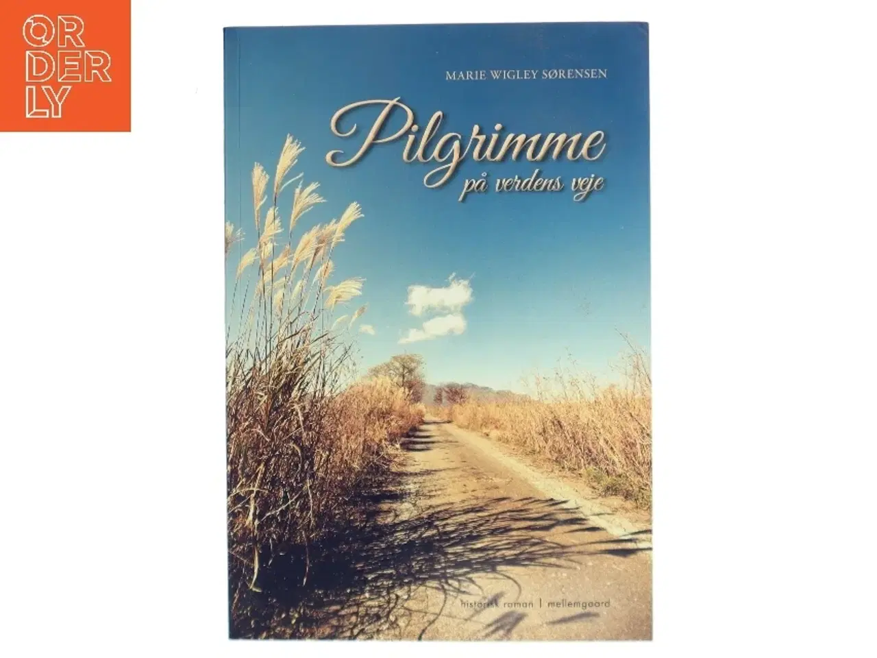 Billede 1 - Pilgrimme på verdens veje af Marie Wigley Sørensen (f. 1950) (Bog)