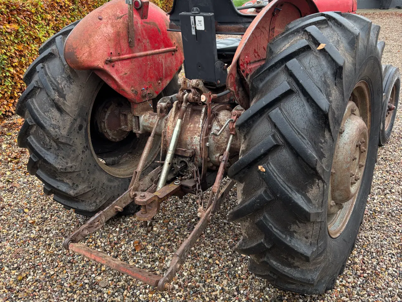 Billede 4 - Massey Ferguson 65 mrk 2