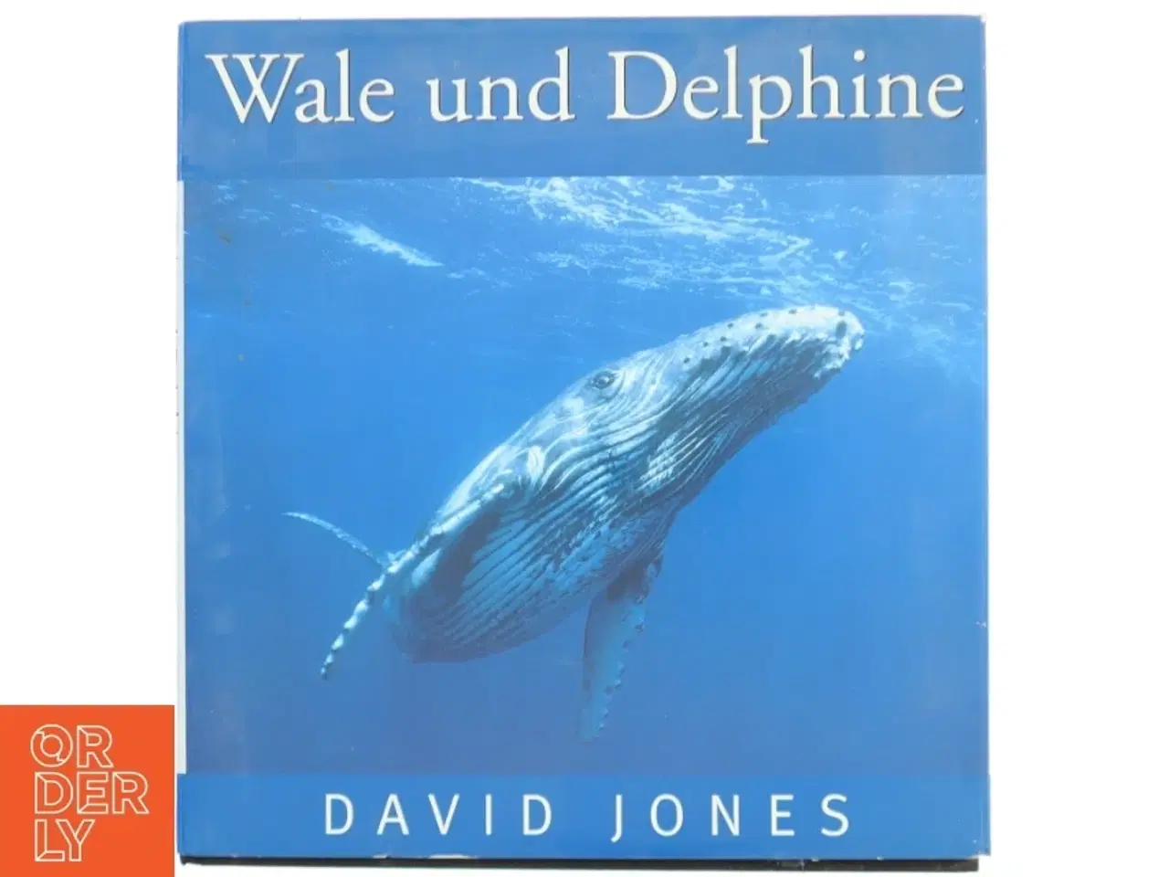 Billede 1 - Wale und Delphine af David Jones (Bog)