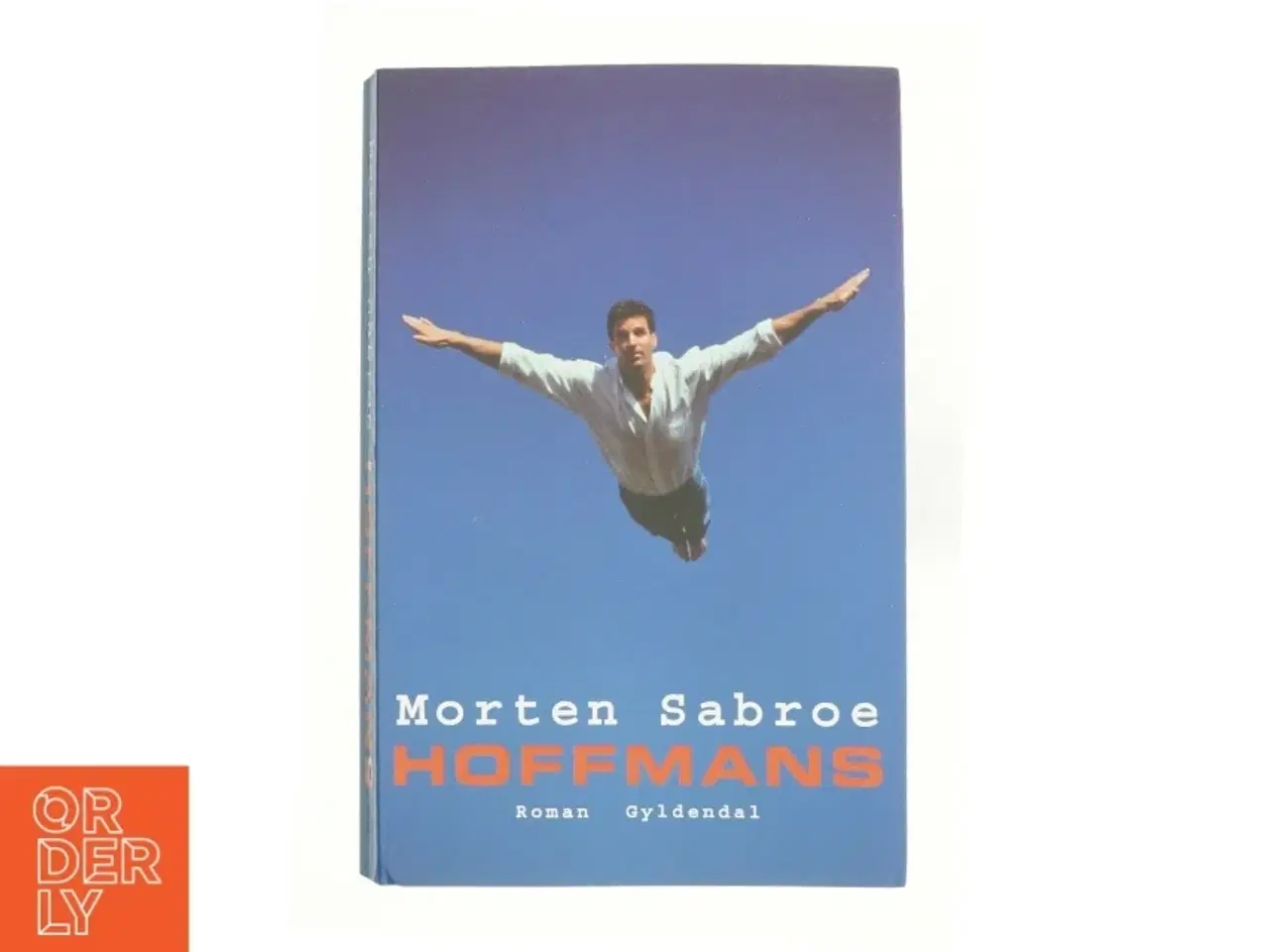 Billede 1 - Hoffmans : roman af Morten Sabroe (Bog)