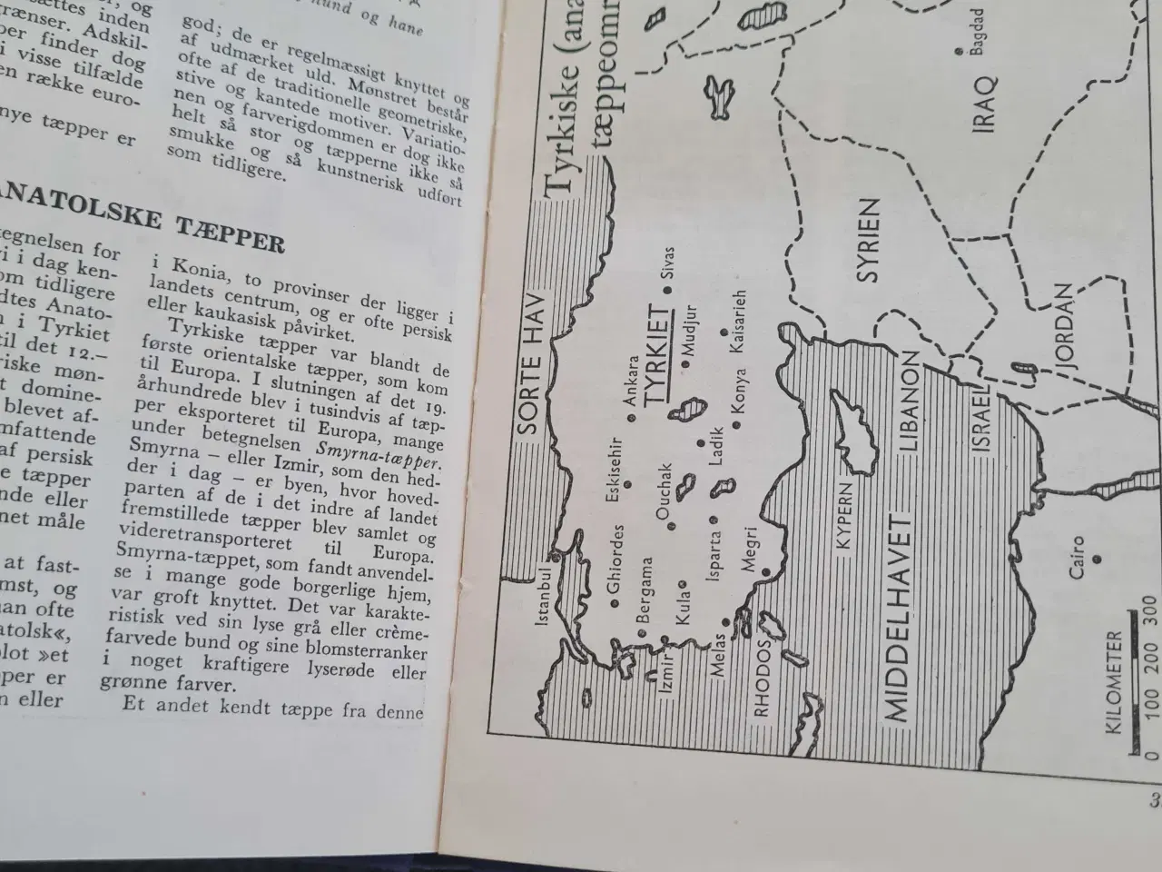 Billede 3 - Tæpper I Farver - orientalske tæpper I farver 