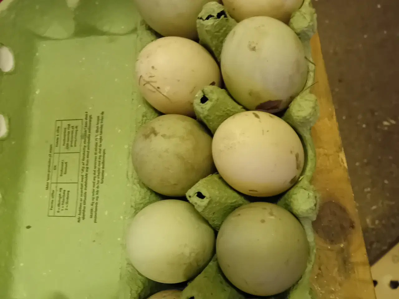 Billede 1 - Rugeæg fra løbe og dansk landænder