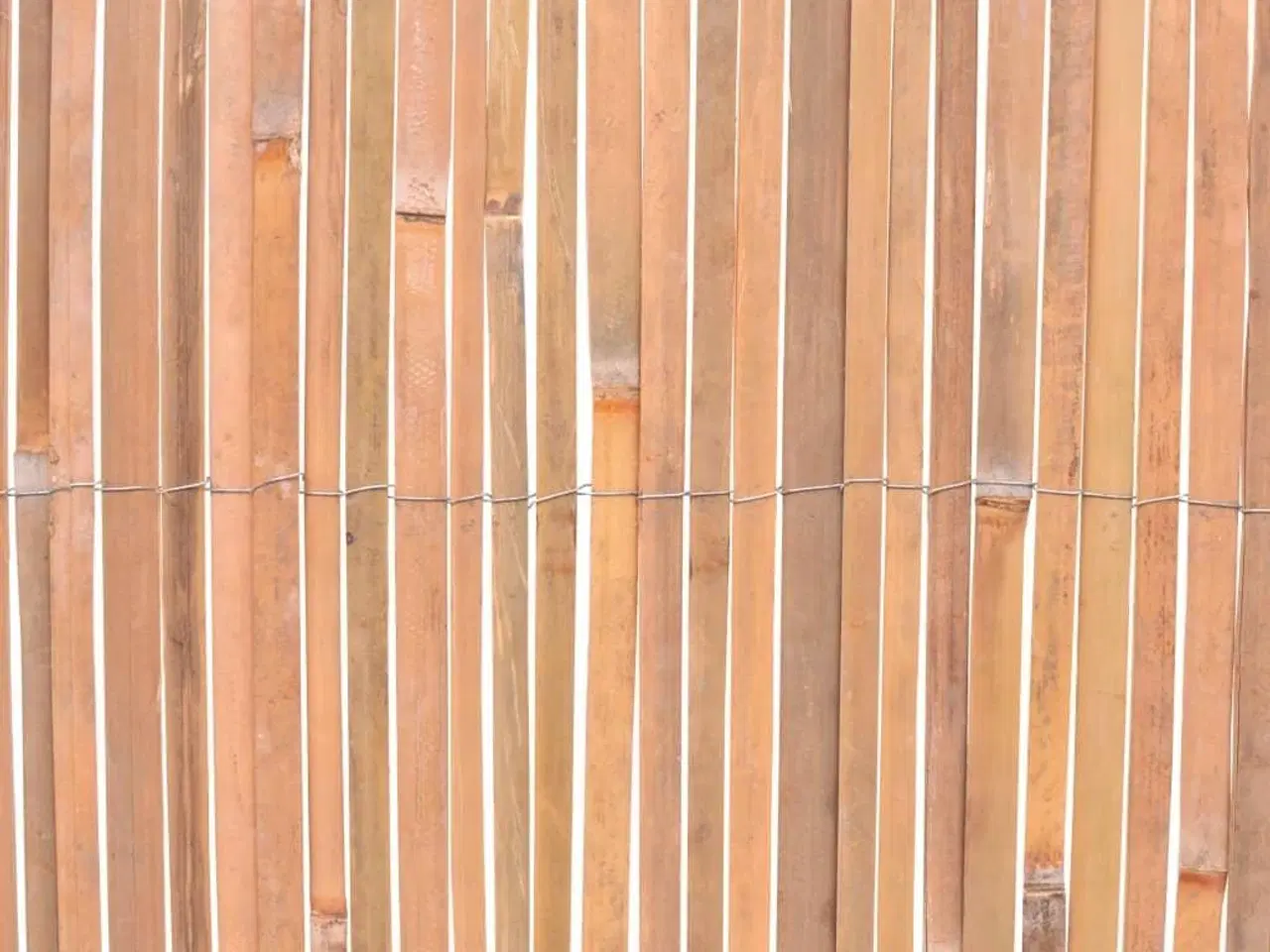 Billede 4 - Bambushegn 100x600 cm