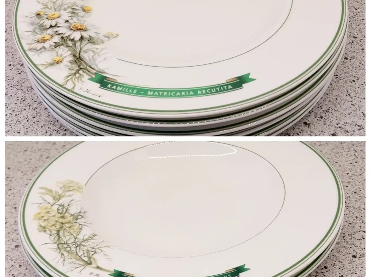 Billede 1 - Underberg 6 flade og 2 dybe tallerkener