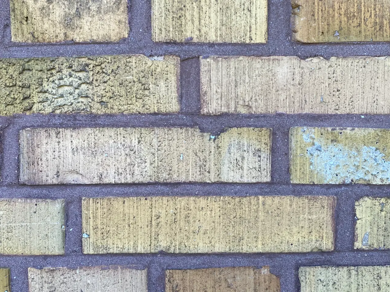 Billede 4 - Søger gule børstede mursten 
