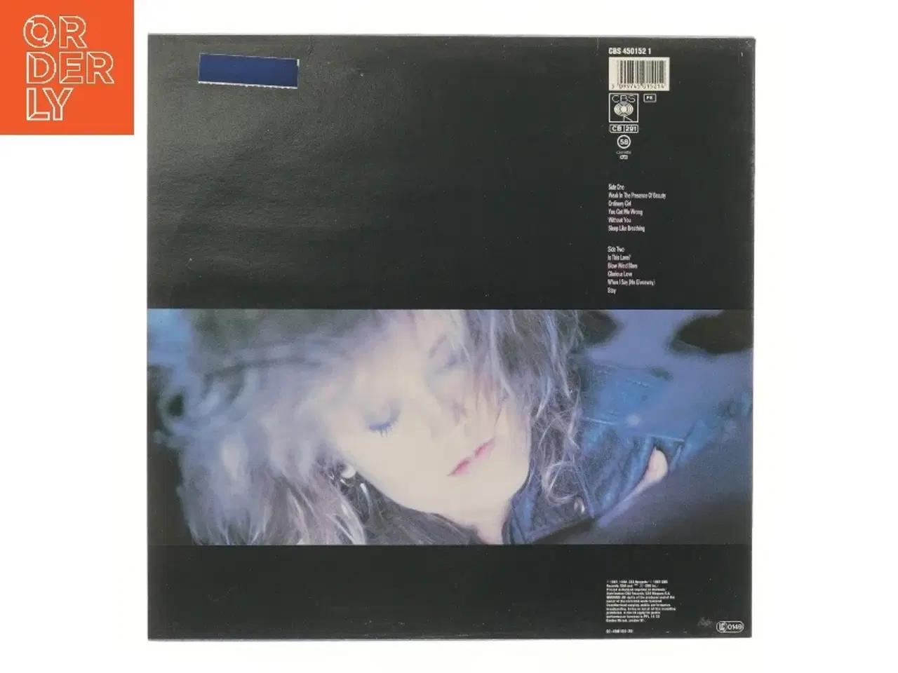 Billede 2 - Raindancing LP af Alison Moyet