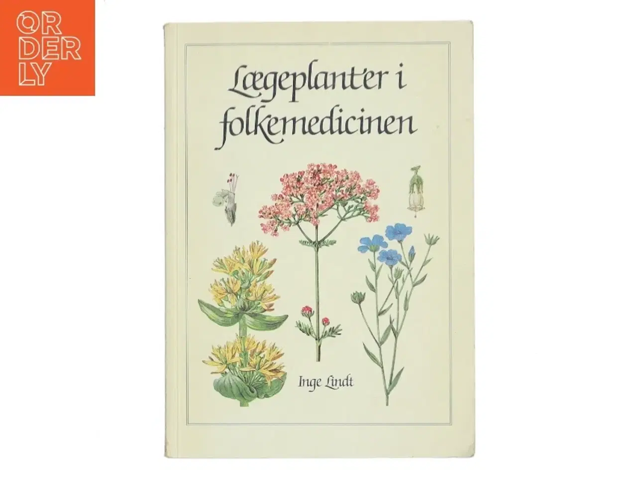 Billede 1 - Lægeplanter i folkemedicinen af Inge Lindt (Bog)