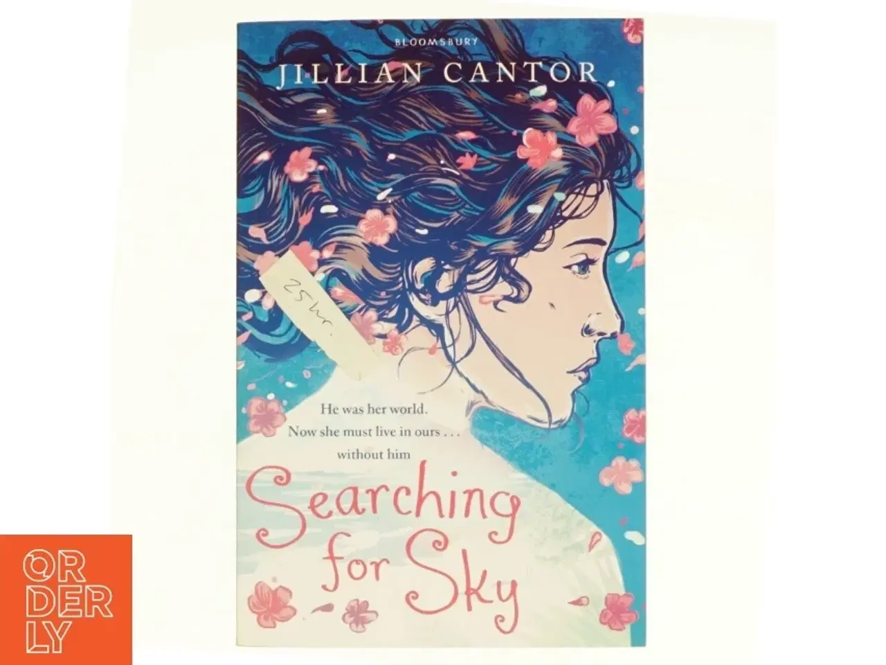Billede 1 - Searching for Sky af Jillian Cantor (Bog)