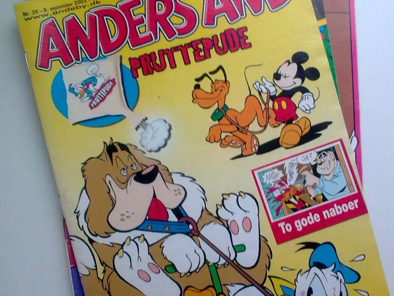 Billede 18 - Hundeskål i eller vagthund ved siden & hund TEMA