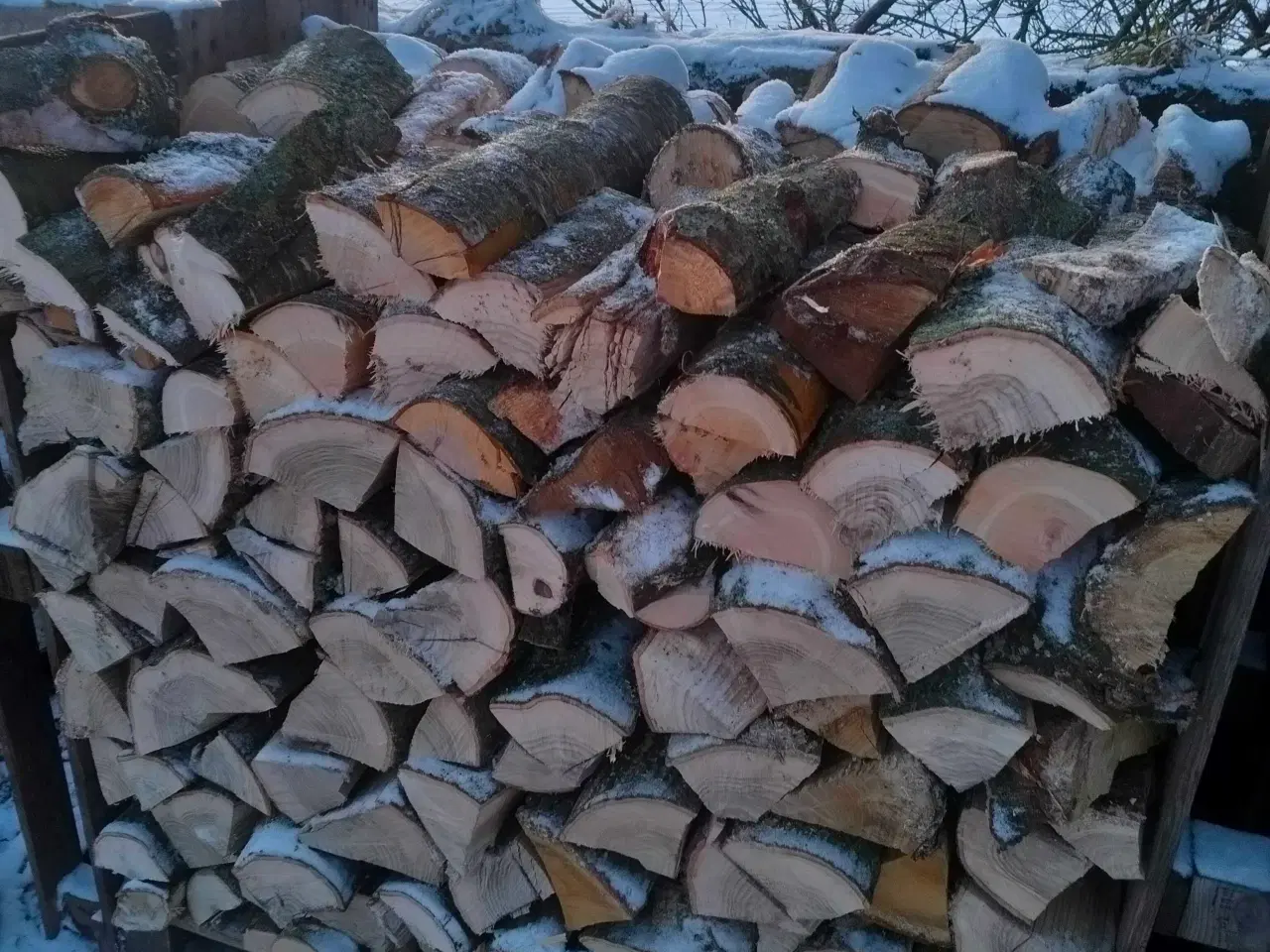 Billede 2 - Egetræs brænde 