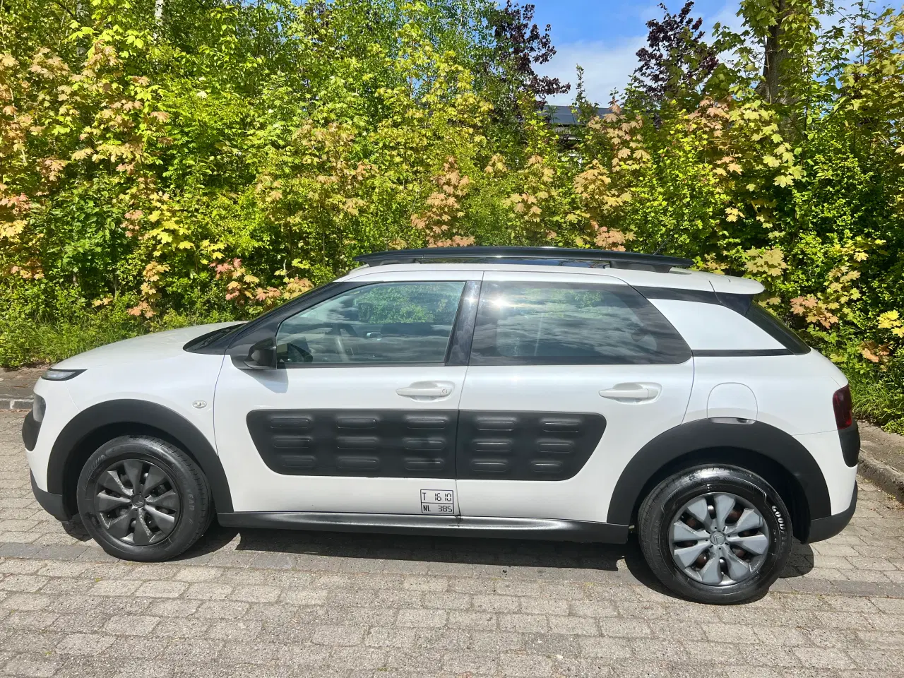 Billede 1 - Citroen C4 Cactus m/ Panoramatag 