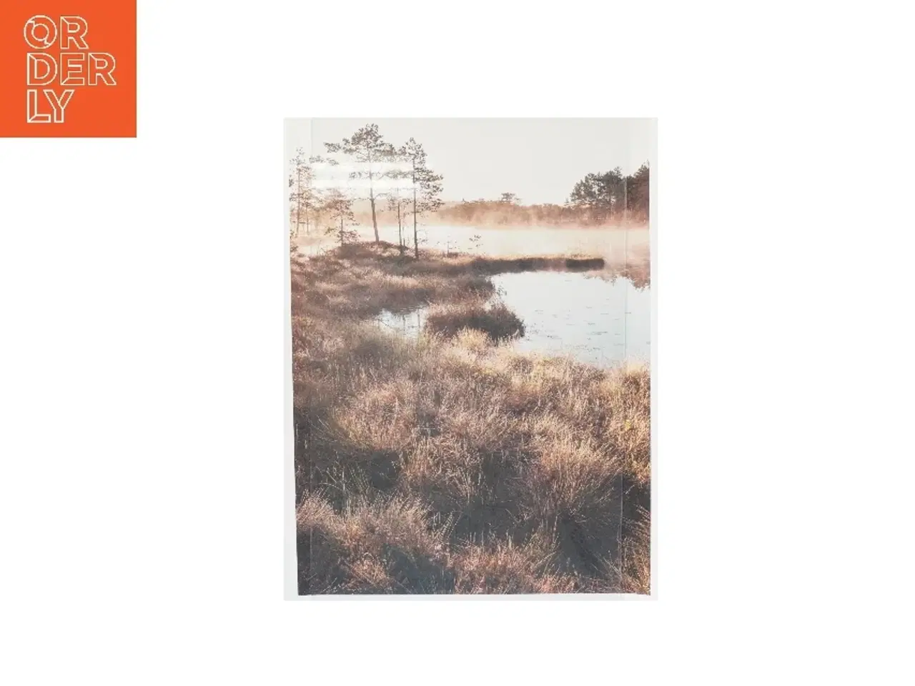 Billede 1 - Landskabsplakater fra Desenio (str. 70x50 cm, 4 styk cm)