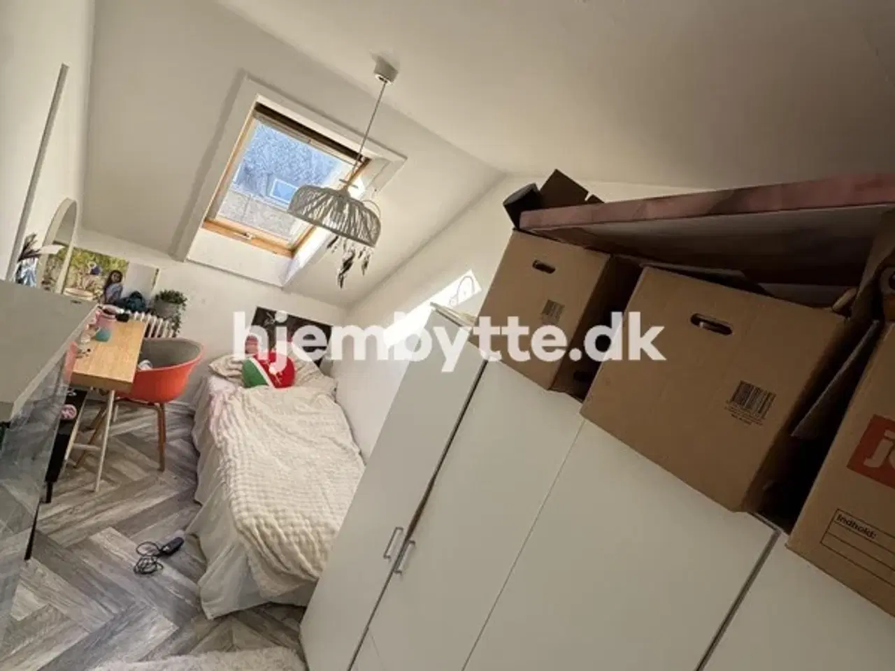 Billede 6 - Hjembytte - Buskager