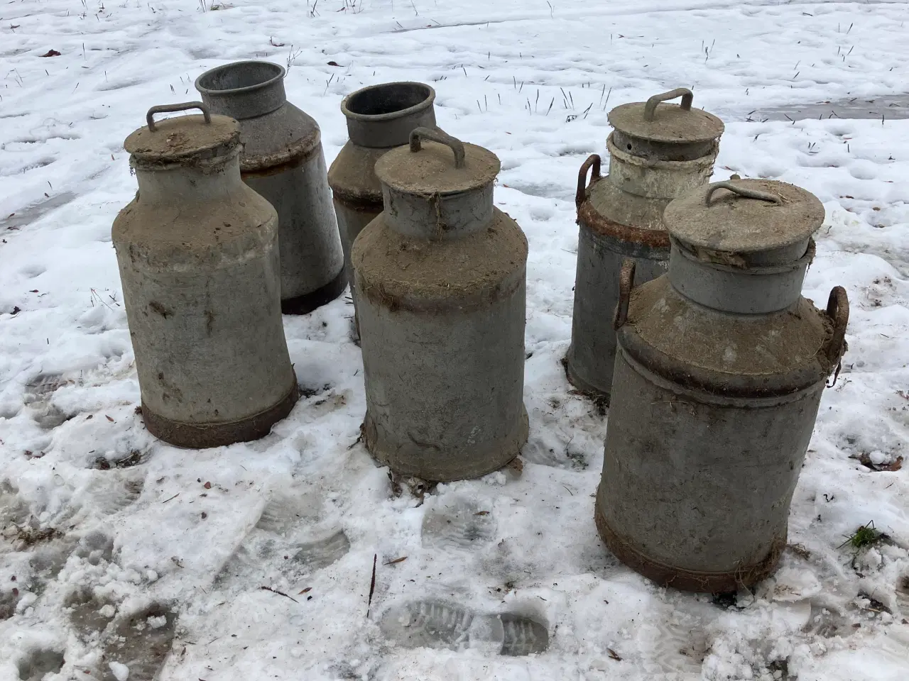 Billede 2 - Mælkejunger