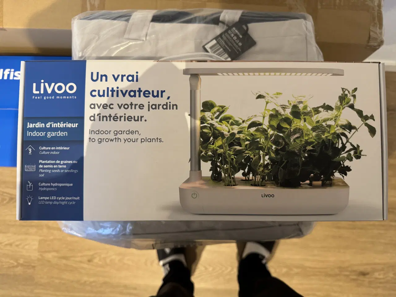 Billede 1 - Indendørs have til hjemmet