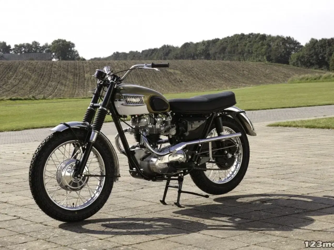 Billede 11 - Triumph Bonneville T 120 C Classic Bike