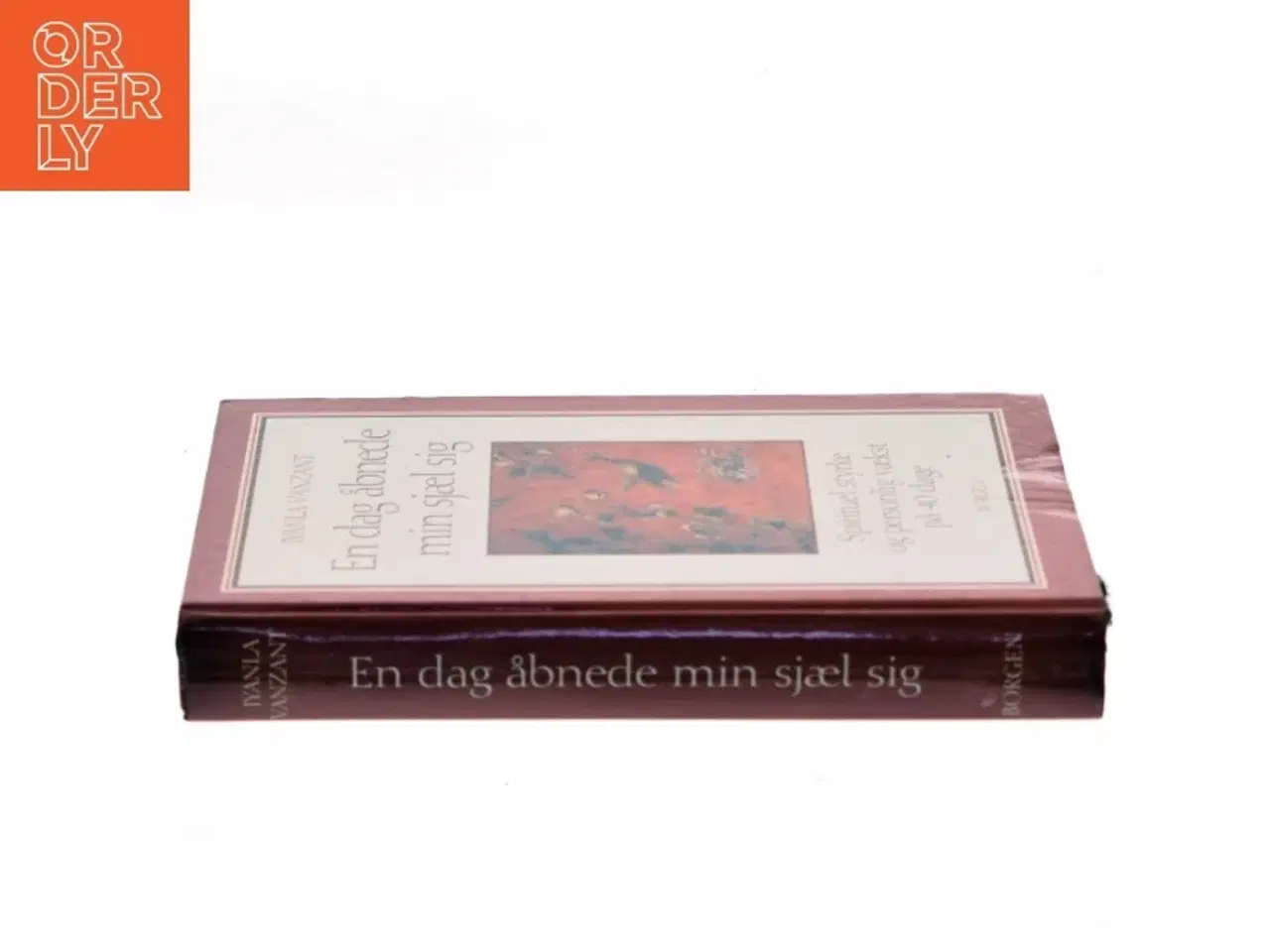 Billede 2 - En dag åbnede min sjæl sig : åndelig styrke og personlig vækst på 40 dage af Iyanla Vanzant (Bog)