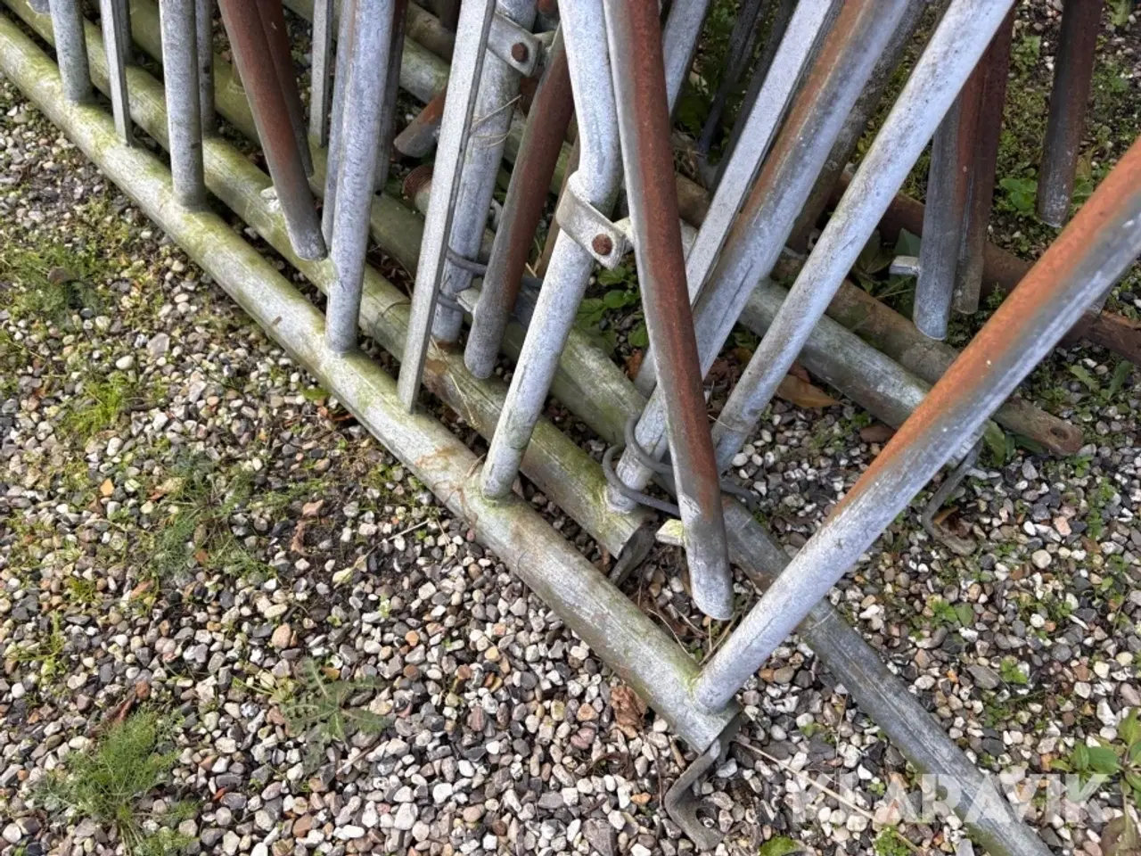 Billede 4 - Fangegitter - 7 styks
