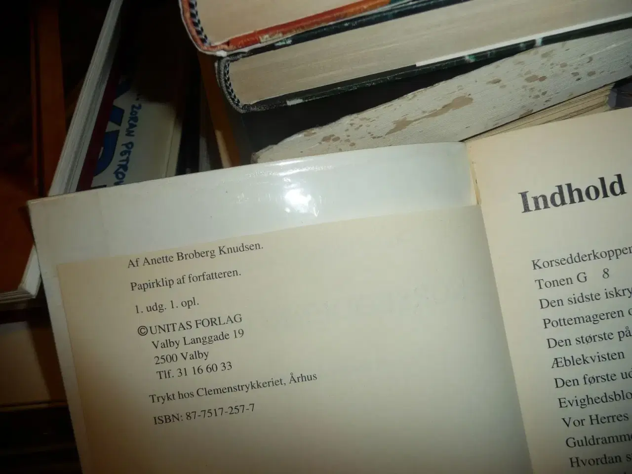 Billede 3 - Korsedderkoppen og andre historier