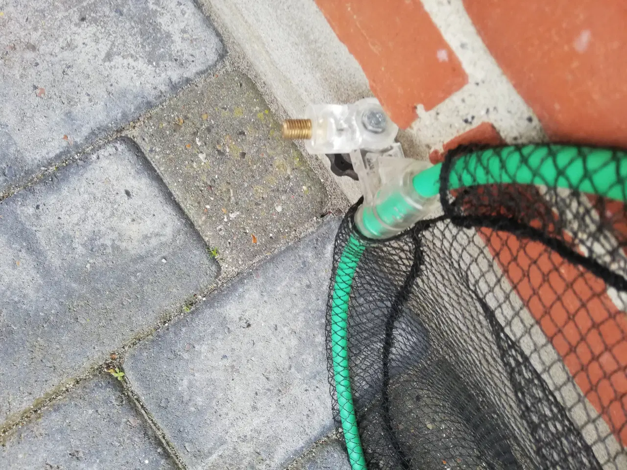 Billede 1 - Opbevaring af Fisk