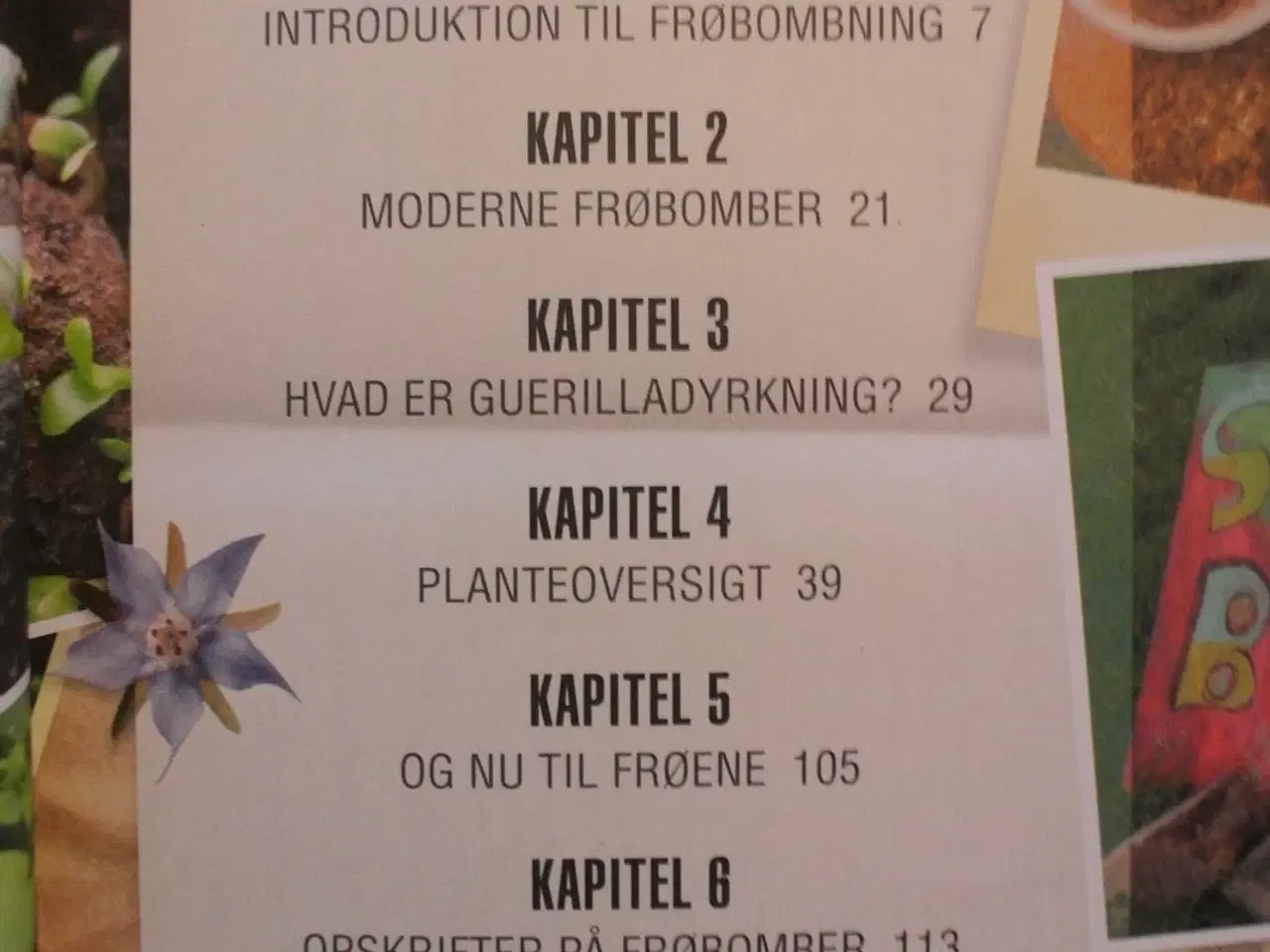 Billede 2 - frøbomber vild med blomster, af josie jeffery