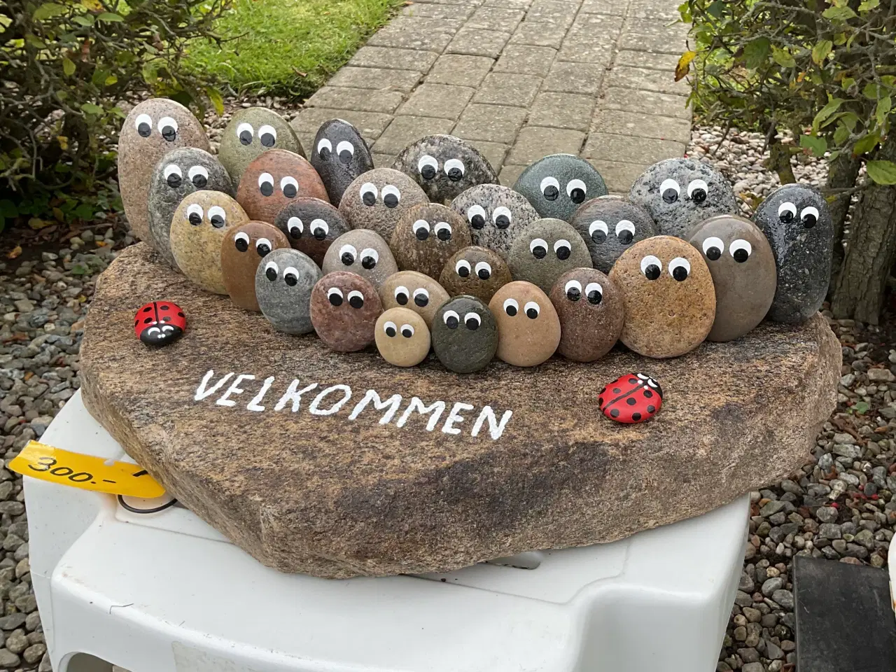 Billede 2 - STOR ØJESTEN